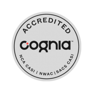 Untitled design (15)