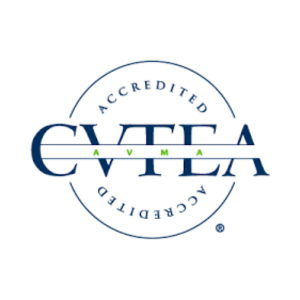 Untitled design (20)